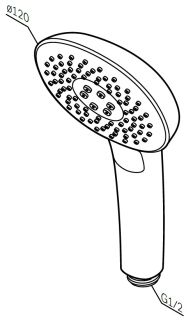 Душевая лейка Am.pm Spirit V2.0 F0270A000 120 мм